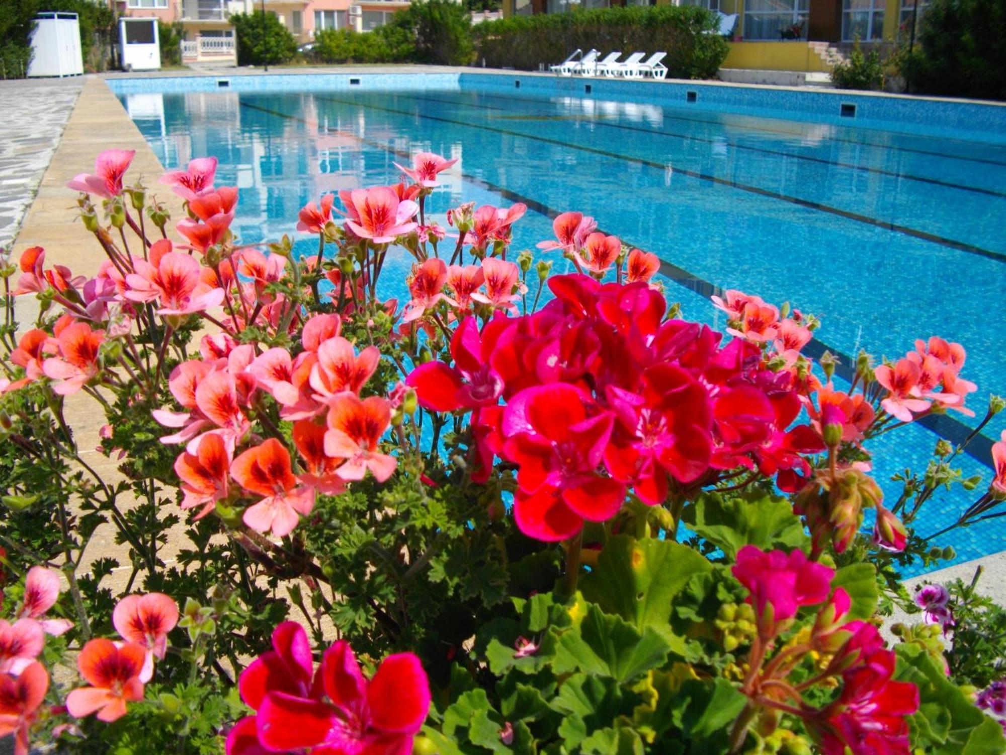 Sunshine Pearl Family Hotel Kavarna Dış mekan fotoğraf